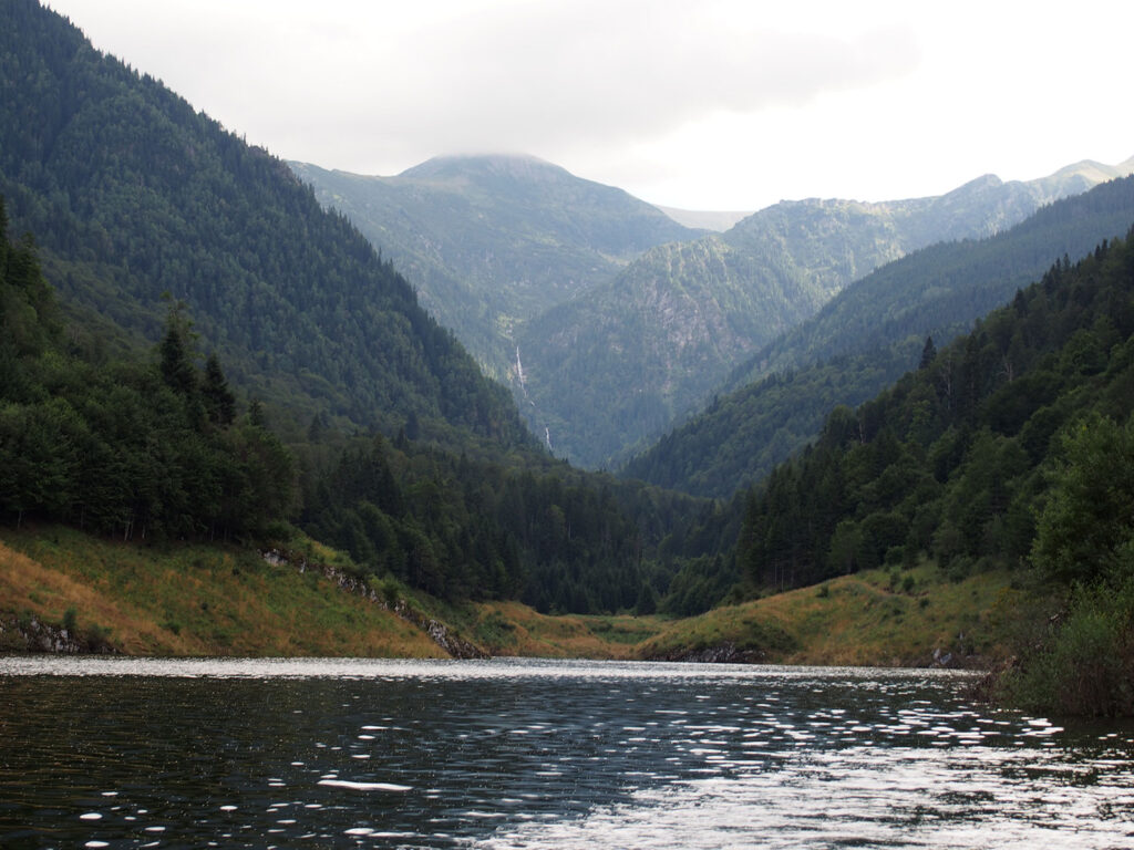 Into the wild fly fishing in Retezat Mountains Romania