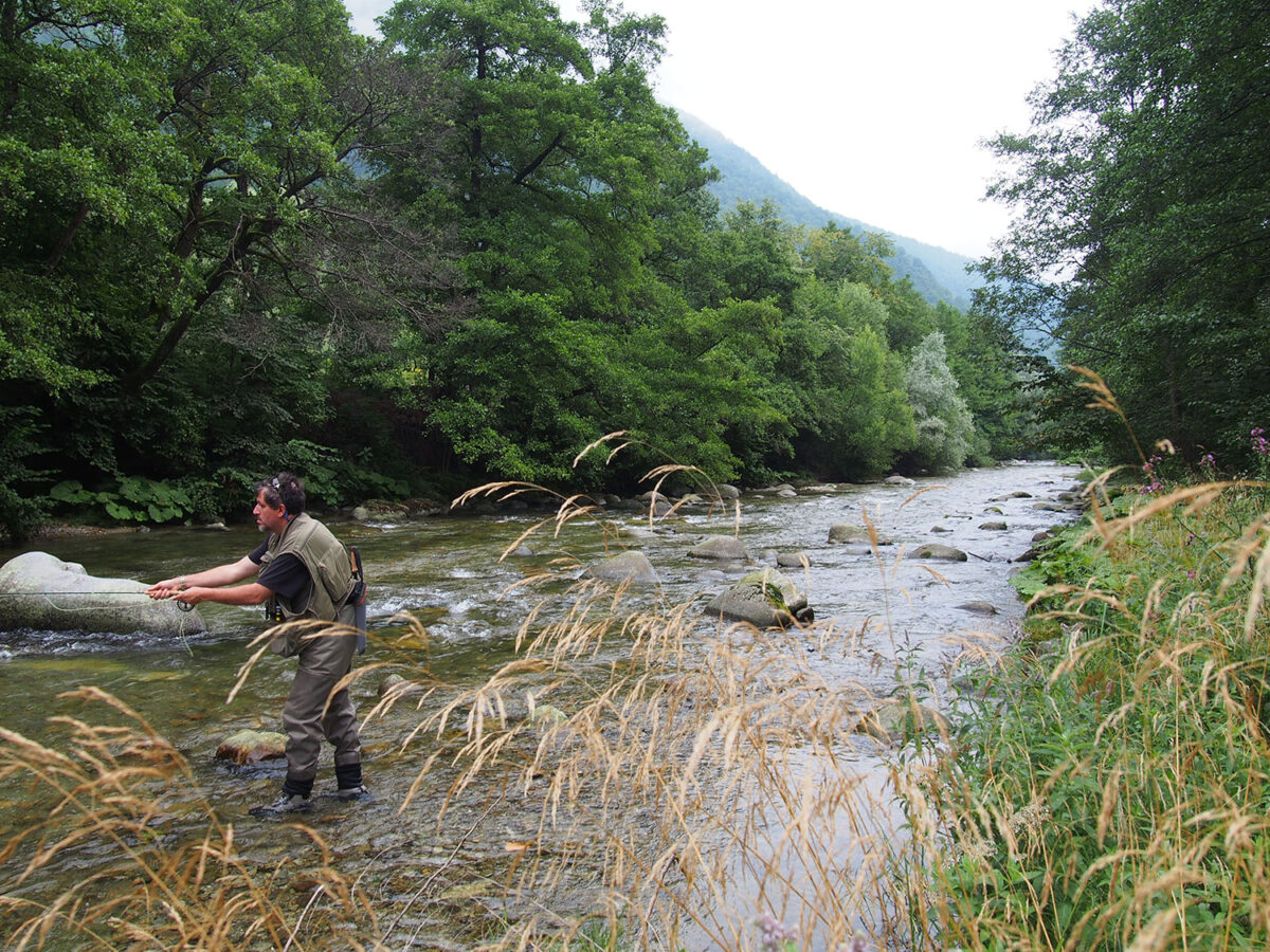 Into the wild fly fishing in Retezat Mountains Romania